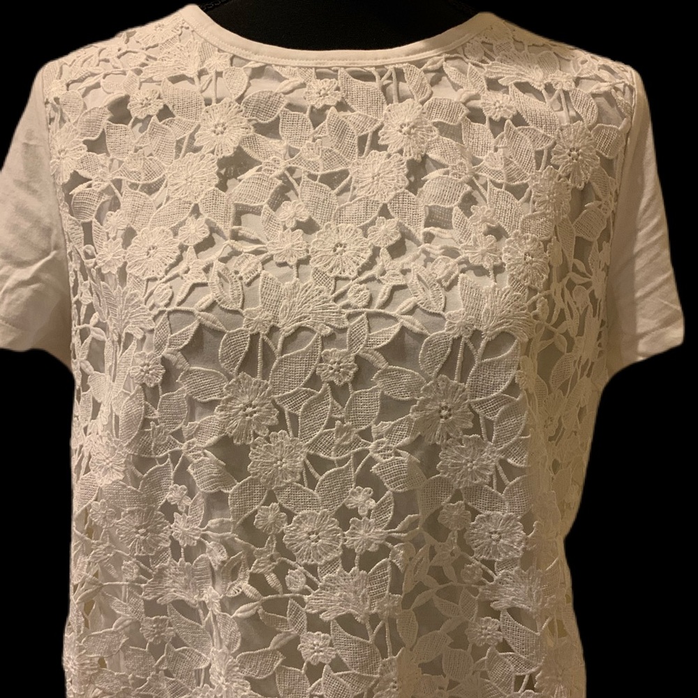 Ann Taylor